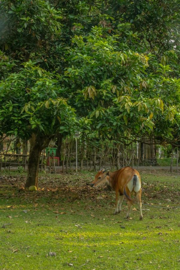 Lendang Eco Lodge Senggigi Bagian luar foto