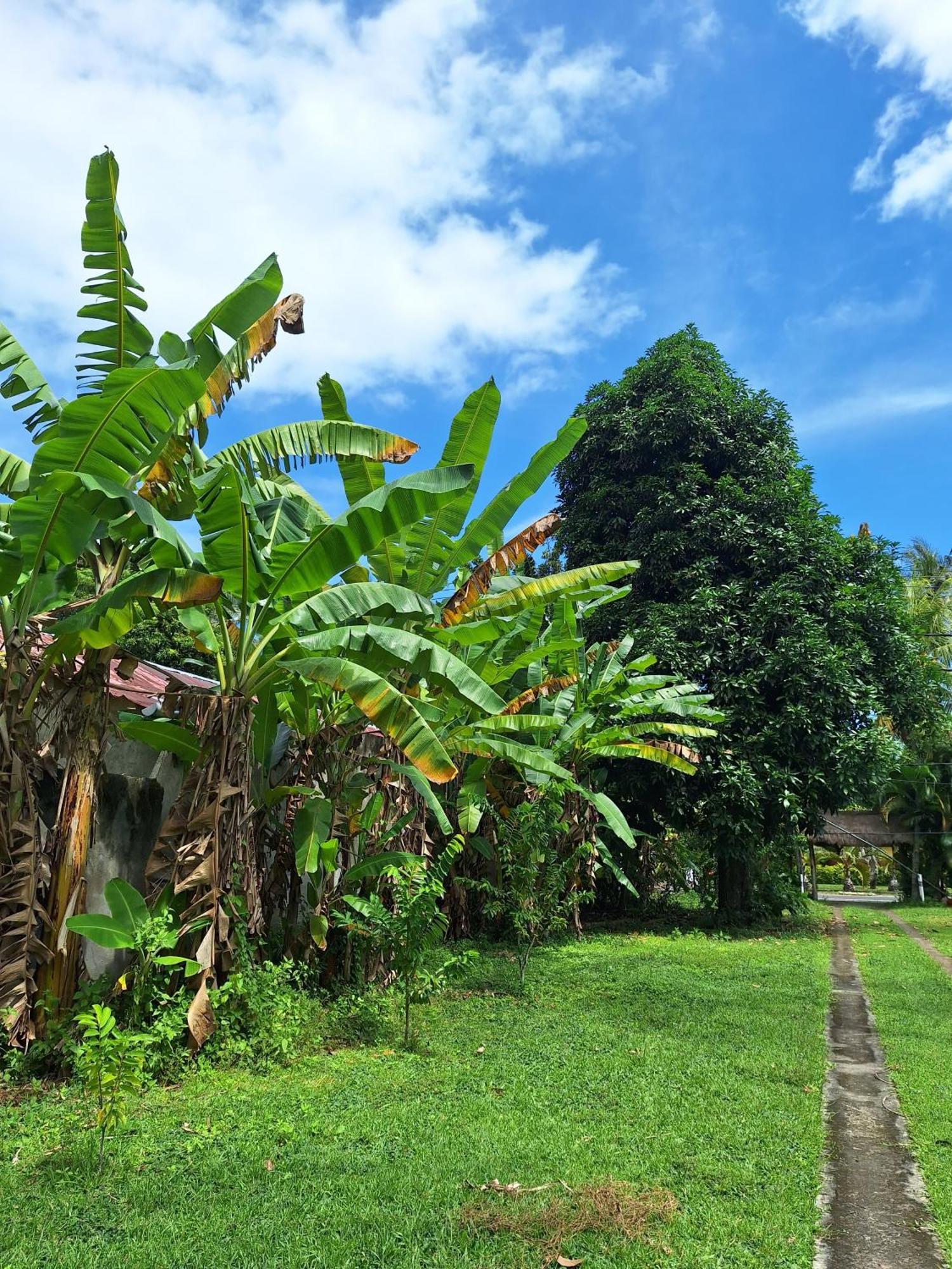 Lendang Eco Lodge Senggigi Bagian luar foto