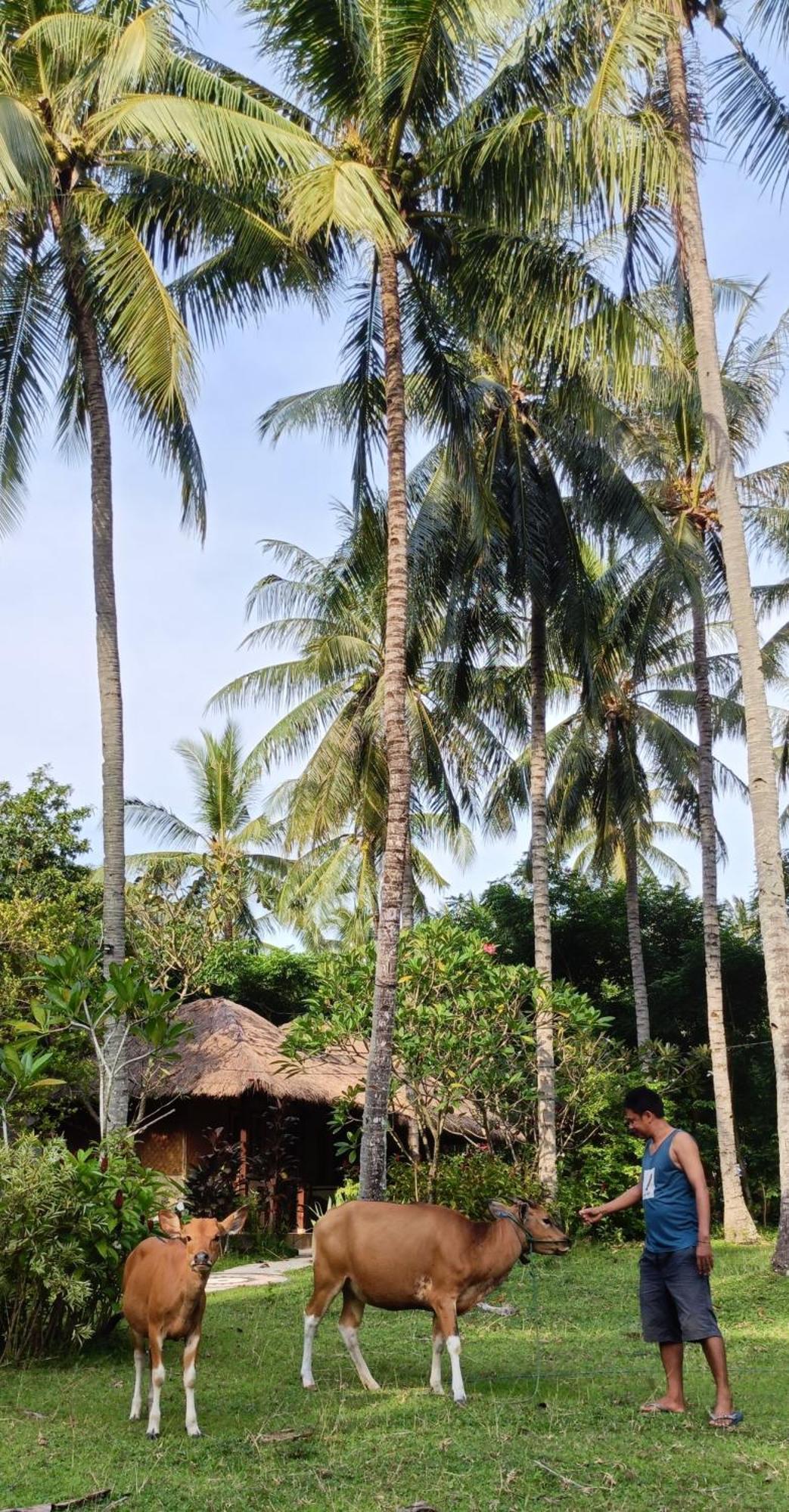 Lendang Eco Lodge Senggigi Bagian luar foto