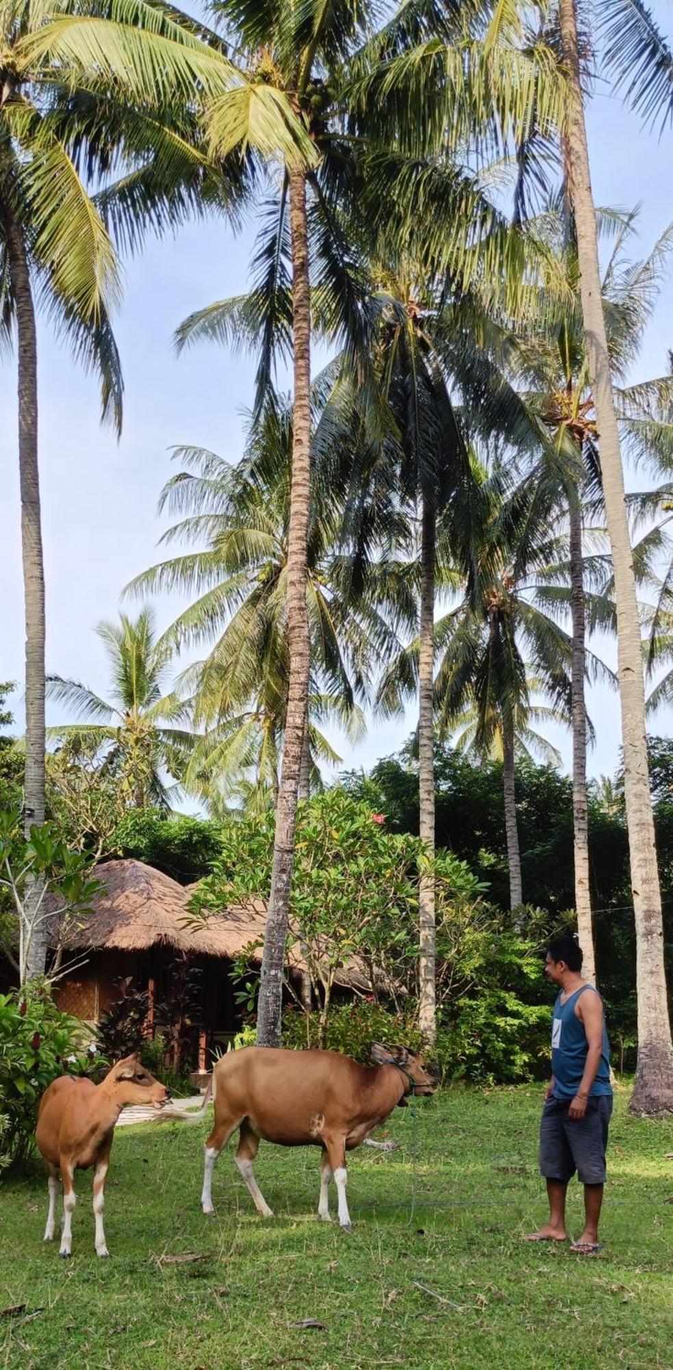 Lendang Eco Lodge Senggigi Bagian luar foto