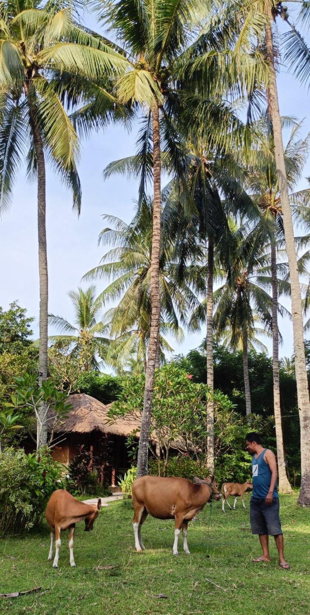 Lendang Eco Lodge Senggigi Bagian luar foto